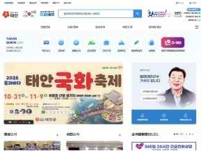 태안군청 인증 화면